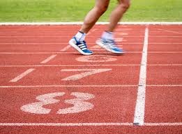 世界杯F组赛程：荷兰6月15日4点对阵日本